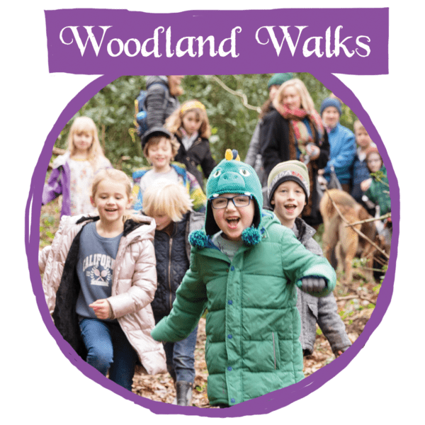 Woodland walks Callout 2