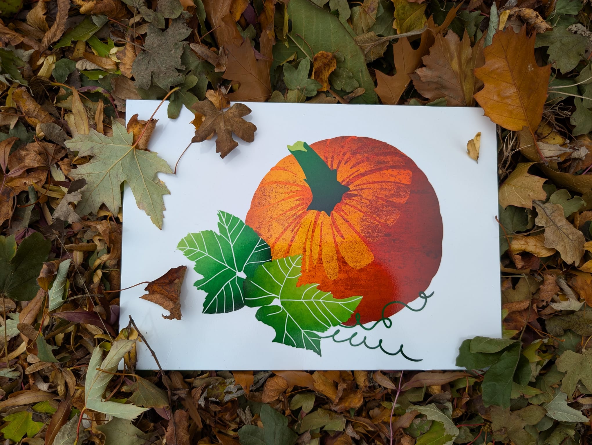 Pumpkin picture from Perrygrove Railway Autumn trail images selection in some autumn leaves